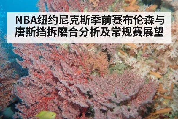 NBA纽约尼克斯季前赛布伦森与唐斯挡拆磨合分析及常规赛展望