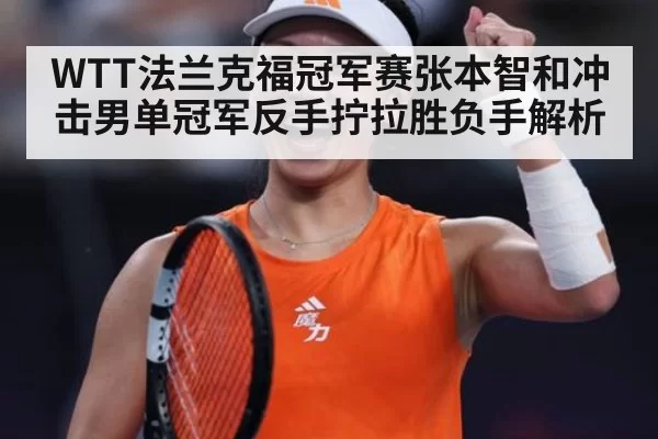 WTT法兰克福冠军赛张本智和冲击男单冠军反手拧拉胜负手解析